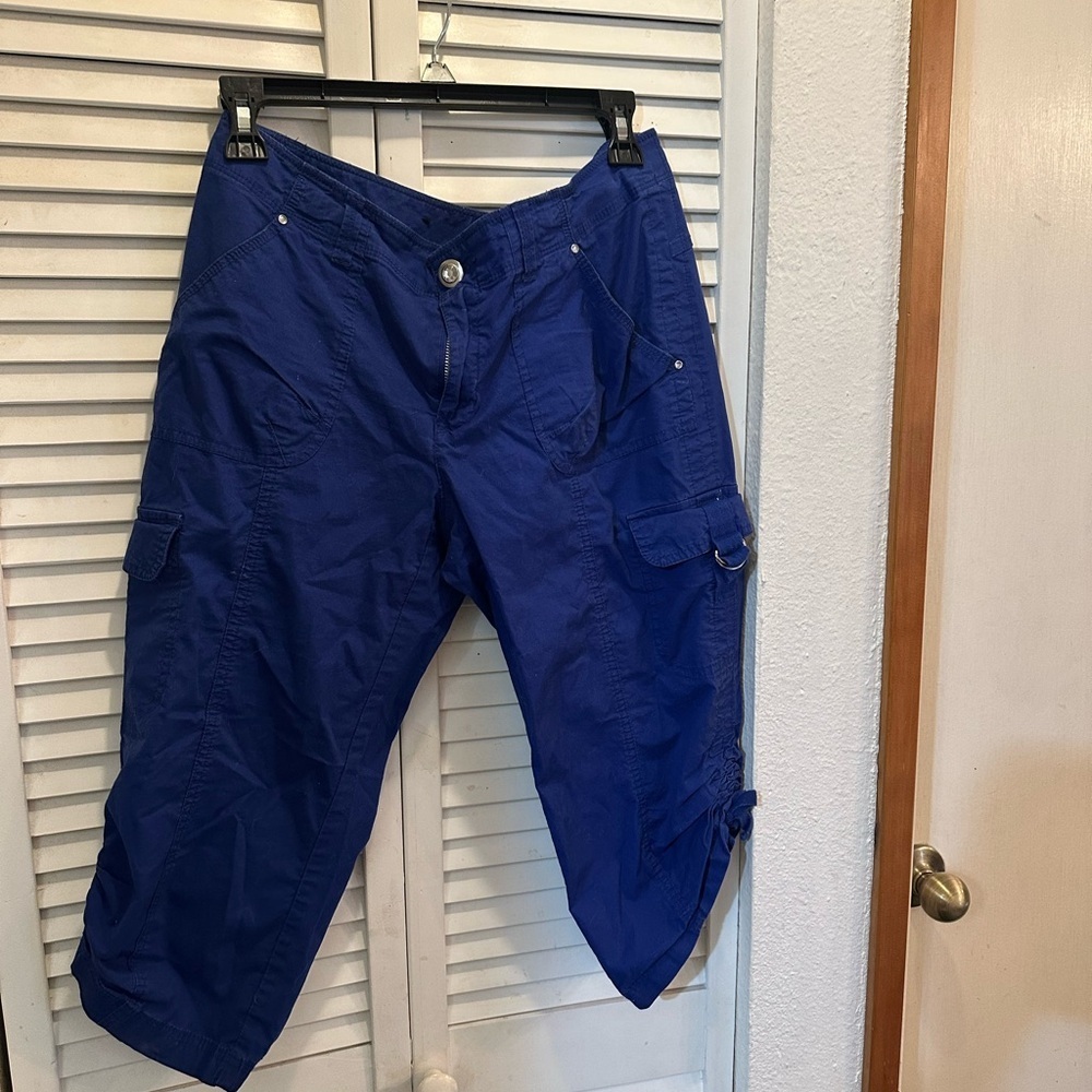 INC International Concepts Blue Capri Pants